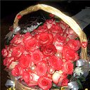 ���� ����, �������� - ��������� 28 �������� 2010 � ������ �������