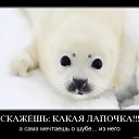 ���� ����, ����-���, 37 ��� - ��������� 24 ������� 2010 � ������ ��������������