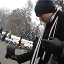 ���� �������, ������, 37 ��� - ��������� 6 ����� 2013 � ������ ���� ����������