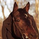 ���� �������, �����-���������, 50 ��� - ��������� 18 ����� 2012