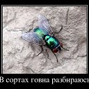    http://vkontakte.ru/app1905375