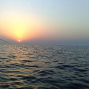 ���� ��������, ������, 58 ��� - ��������� 25 ������ 2011 � ������ �������