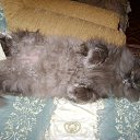 ������� ����!!!! �� ������� �������