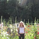 ���� ��������, ������, 57 ��� - ��������� 28 ��� 2010