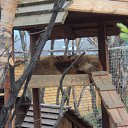 ���� ��������, �����������, 39 ��� - ��������� 24 ��� 2010 � ������ ��������