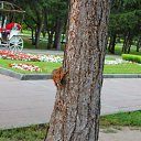 ���� �������, ������, 51 ��� - ��������� 4 ���� 2012 � ������ ���� ����������