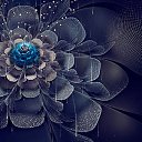 ���� ������, ������ - ��������� 10 ������� 2013 � ������ ��������� ������