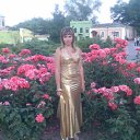 ���� �����, �����, 33 ���� - ��������� 16 ������� 2010