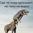 ���� ������, ������� - ��������� 16 ������ 2012 � ������ ���� ����������