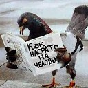 ���� � �����, ����������, 49 ��� - ��������� 3 ���� 2012