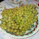 ���� ��������, ����, 53 ���� - ��������� 17 ���� 2009 � ������ ������������