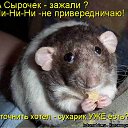 ���� ��������, �������� - ��������� 11 ����� 2012 � ������ �������� ��������