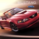 ���� ����, ������, 39 ��� - ��������� 4 ��� 2010 � ������ ������ۻ