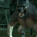  , , 33  -  21  2010    : THE WiTCHER