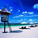 ���� �����, ������, 44 ���� - ��������� 17 ���� 2012 � ������ ���� ����������