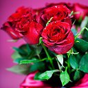 ���� �������, ��������, 47 ��� - ��������� 29 ������� 2012 � ������ ���� ����������