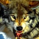 ���� ���������, ���������, 61 ��� - ��������� 14 ��� 2011 � ������ �� � ���,��� �������� �� ����.�