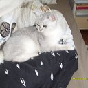 ���� ��� ����, ������, 24 ���� - ��������� 25 ����� 2010 � ������ ���� �����