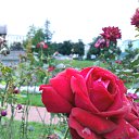 ���� ������, ������ - ��������� 25 ��� 2012