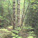 ���� �����, �����-���������, 59 ��� - ��������� 30 ����� 2010 � ������ ��������