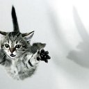 ���� ������, ���������, 24 ���� - ��������� 26 ������ 2012 � ������ ���� ����������