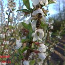 ���� Yiwangna***, ������ - ��������� 5 ��� 2012 � ������ ���������� ����� �������...�