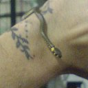  , , 41  -  13  2010   PetLove