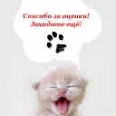 ���� ����, ������ - ��������� 29 �������� 2011 � ������ ����������.�