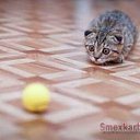 ���� ������, ������� - ��������� 8 ������ 2011 � ������ ������ ��� �����...�