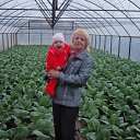 ���� ������, ������, 73 ���� - ��������� 18 ������ 2012 � ������ ���� ����������