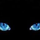 ���� �����, ������, 38 ��� - ��������� 4 ������� 2011