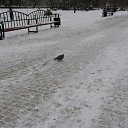 ���� �������, ��������, 24 ���� - ��������� 30 ������ 2010 � ������ ���� ��� � ������...�