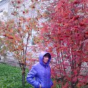 ���� �������, ������������, 49 ��� - ��������� 21 �������� 2012 � ������ ���� ����������