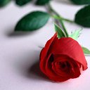 ���� �����, ����������� ����, 59 ��� - ��������� 29 ��� 2012 � ������ �������