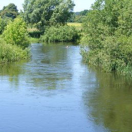 ���, ������, 41 ���