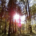 ���� �������, ������������, 63 ���� - ��������� 28 ���� 2011 � ������ �)�