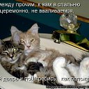 ���� ��������, �������� - ��������� 23 ����� 2012 � ������ �������� ��������