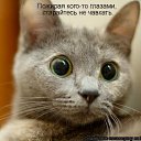  Lika,  -  3  2010      2 :))