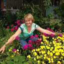 ���� ������, �����, 67 ��� - ��������� 19 ���� 2013 � ������ ���� ����������