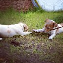 ���� Leonid, �����-���������, 39 ��� - ��������� 10 ������ 2013 � ������ �����-�����