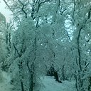 22.12.2012.       Foto Sympathy