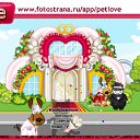 ���� ���� ������ ����, ���� - ��������� 8 ������� 2010 � ������ �PetLove�