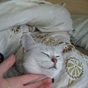 ���� ��� ����, ������, 24 ���� - ��������� 25 ����� 2010 � ������ ���� �����