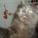 ���� ����, �����-���������, 50 ��� - ��������� 9 ������ 2012 � ������ �������