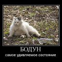 ���� �������, ������, 39 ��� - ��������� 23 ������� 2010 � ������ ��������������