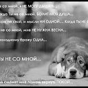 ���� �������))), �����, 42 ���� - ��������� 29 ������� 2011 � ������ ���� ����ܻ
