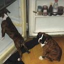 ���� ��������, �����-���������, 58 ��� - ��������� 20 ������ 2010 � ������ �������