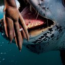 ���� ����� - ���������� ��������!!!, �����������, 56 ��� - ��������� 20 ������� 2009 � ������ ������������� ��������� � ��������� ���!�