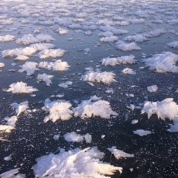 ���� �������, ������, 61 ��� - ��������� 7 ���� 2013