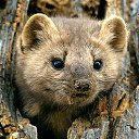 ���� ������, ��������, 44 ���� - ��������� 29 ������ 2010